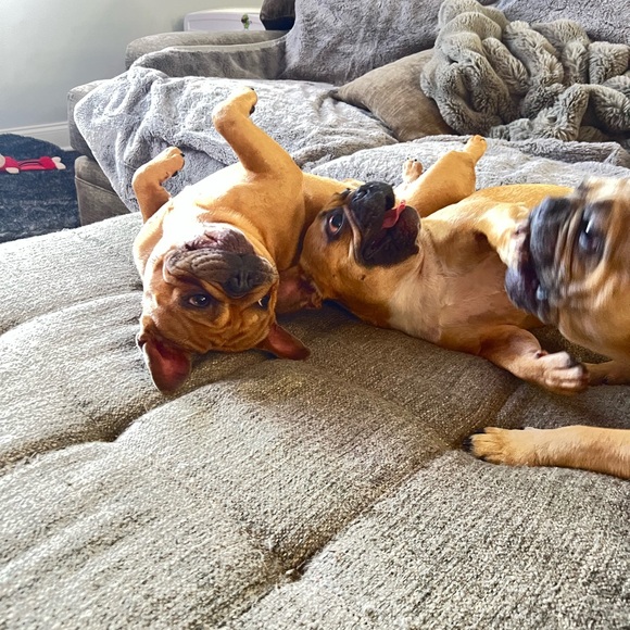 Meet your Posher, Maria - Picture 2 of 2